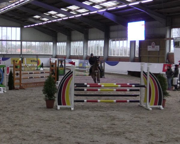 Reitturnier Greven 2019