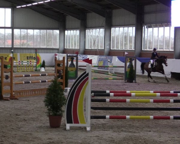 Reitturnier Greven 2019