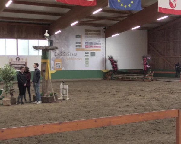 Reitturnier Warendorf-Freckenhorst 2019