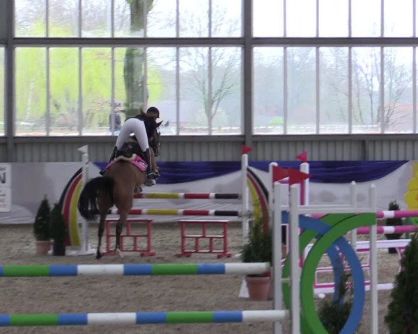 Reitturnier Greven 2019