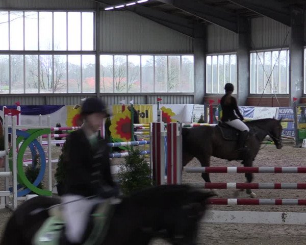 Reitturnier Greven 2019