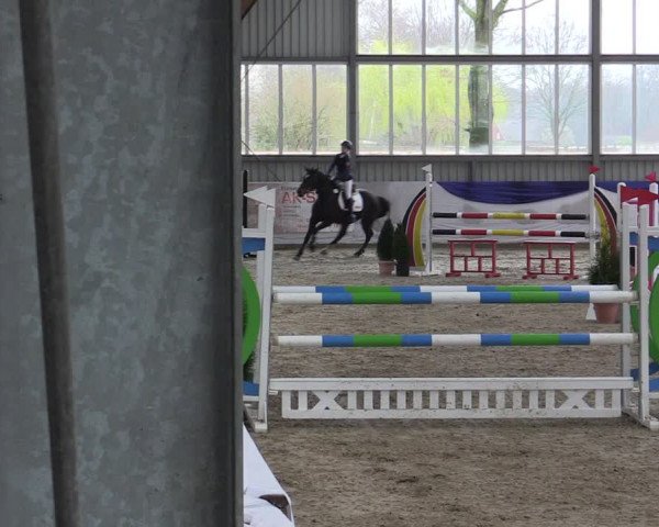 Reitturnier Greven 2019