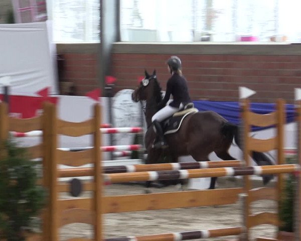 Reitturnier Greven 2019