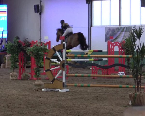 Reitturnier Warendorf-Freckenhorst 2019