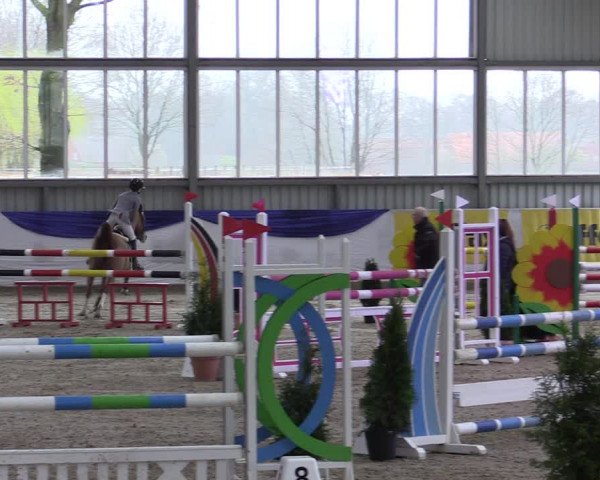 Reitturnier Greven 2019