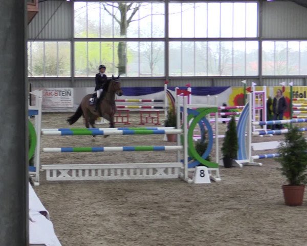 Reitturnier Greven 2019