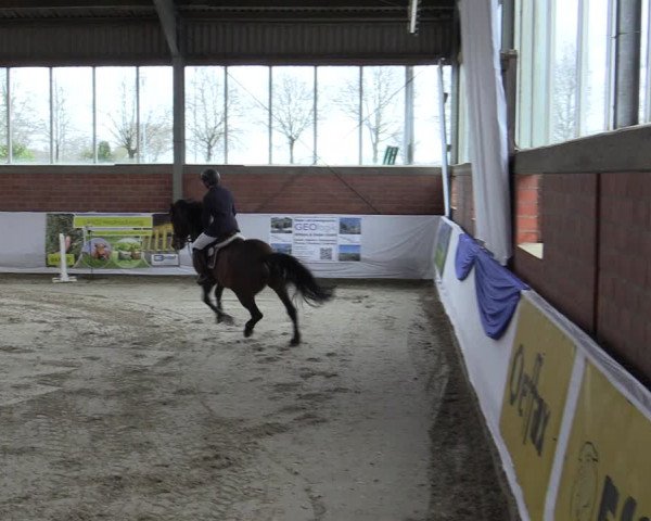 Reitturnier Greven 2019