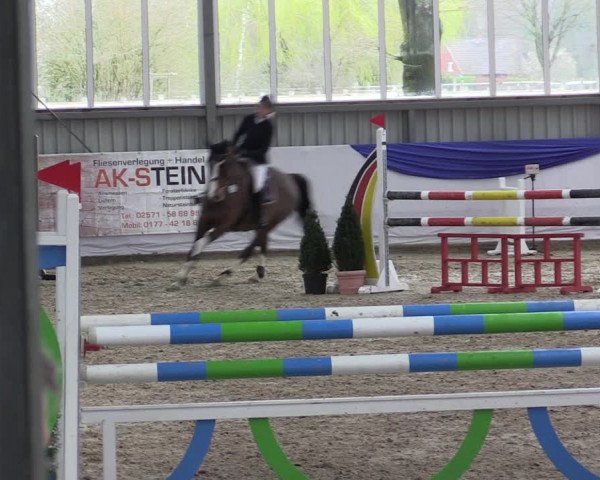 Reitturnier Greven 2019