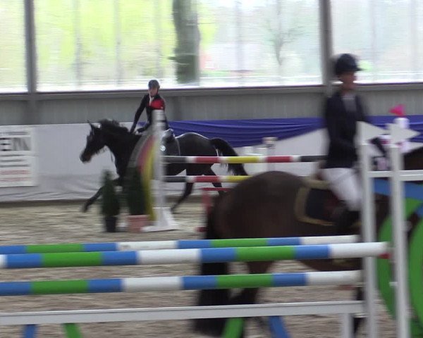 Jezdecké závody Greven 2019