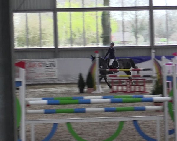 Reitturnier Greven 2019