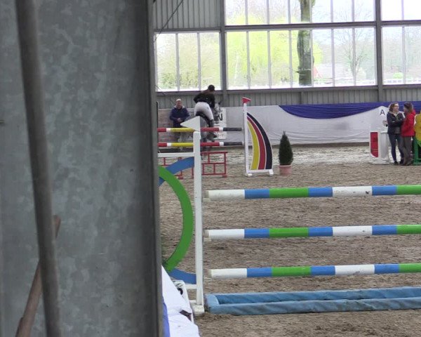 Reitturnier Greven 2019