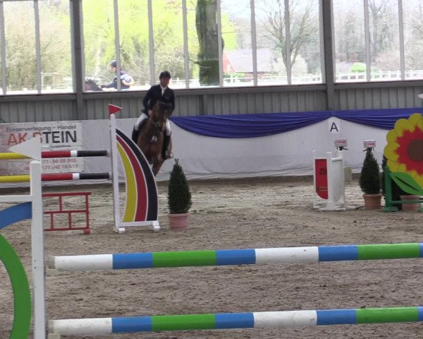 Reitturnier Greven 2019