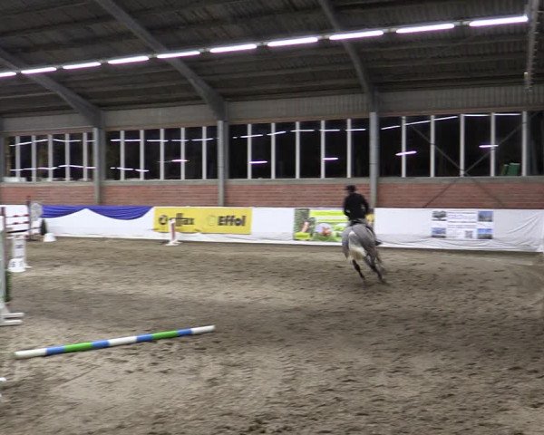 Reitturnier Greven 2019