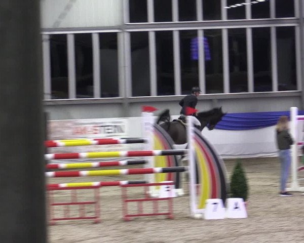Reitturnier Greven 2019