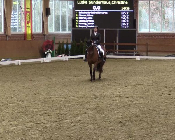 Reitturnier Seppenrade 2019