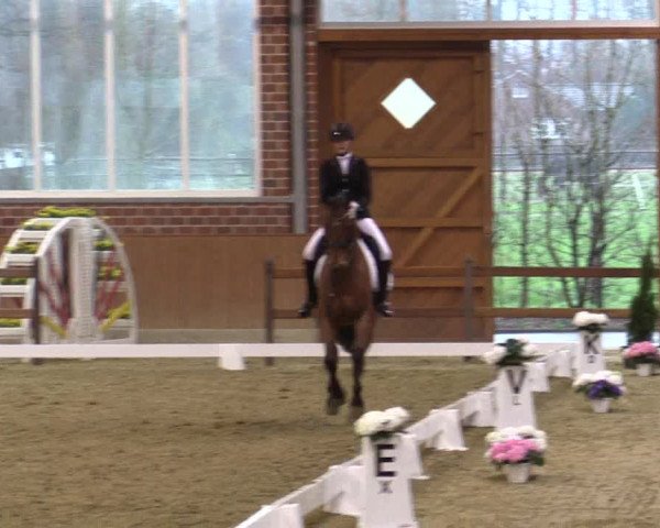 Reitturnier Seppenrade 2019