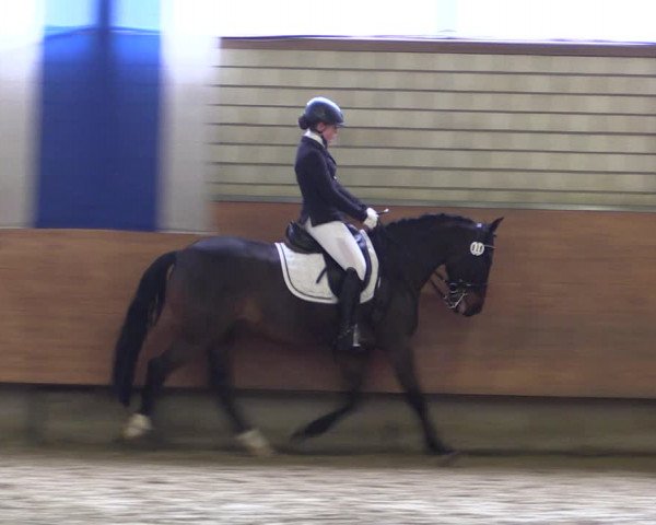 Reitturnier Hellefeld 2019