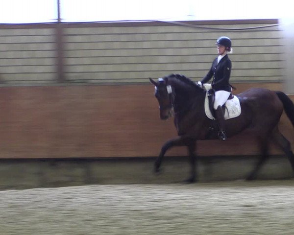 Reitturnier Hellefeld 2019