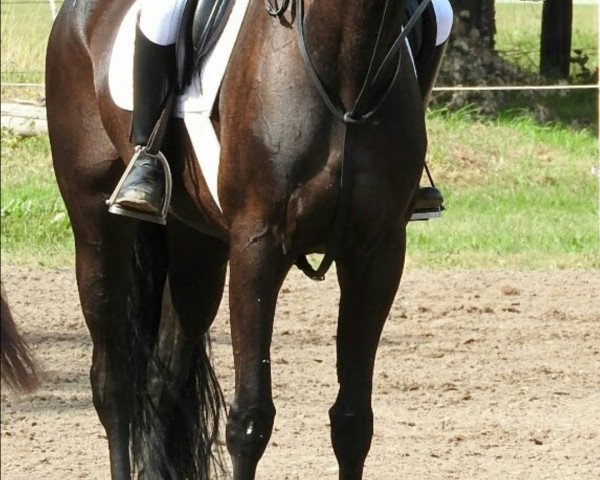 jumper Petit Pauline (Rhinelander, 2000, from Potsdam)