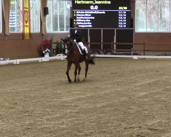 Reitturnier Seppenrade 2019