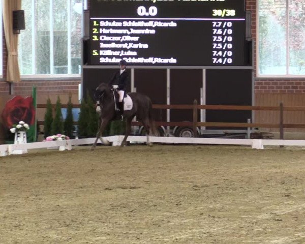 Reitturnier Seppenrade 2019