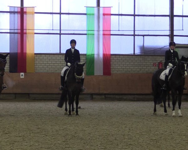 Reitturnier Hellefeld 2019
