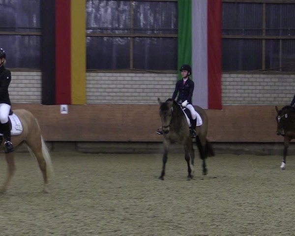 Reitturnier Hellefeld 2019
