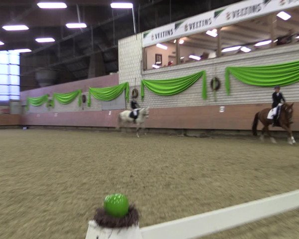 Reitturnier Hellefeld 2019