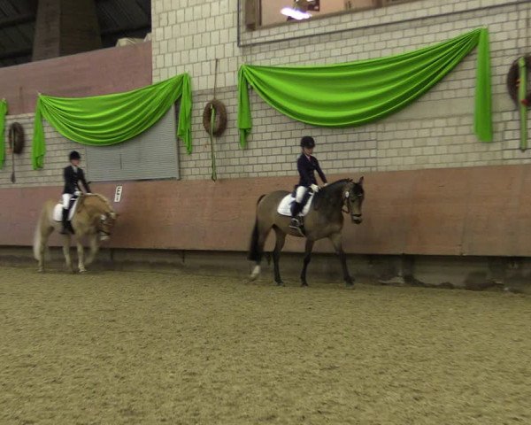 Reitturnier Hellefeld 2019