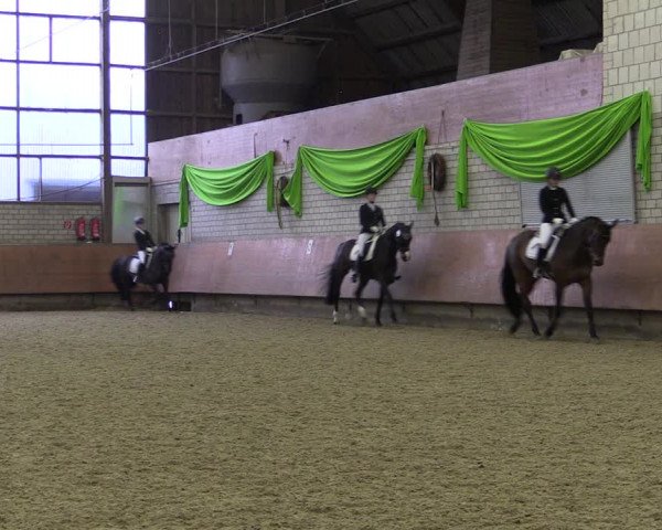 Reitturnier Hellefeld 2019