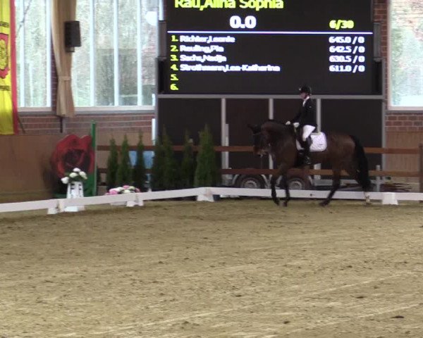 Reitturnier Seppenrade 2019