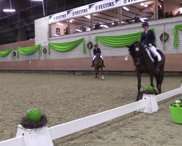 Reitturnier Hellefeld 2019