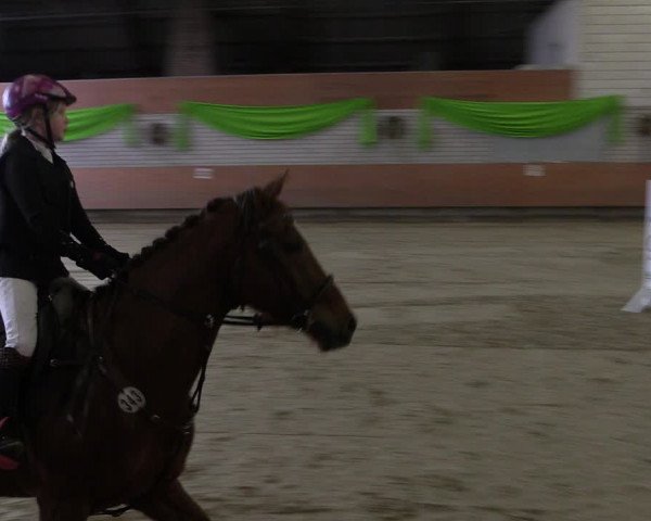 Reitturnier Hellefeld 2019