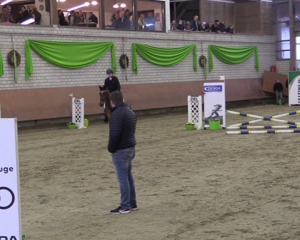 Reitturnier Hellefeld 2019