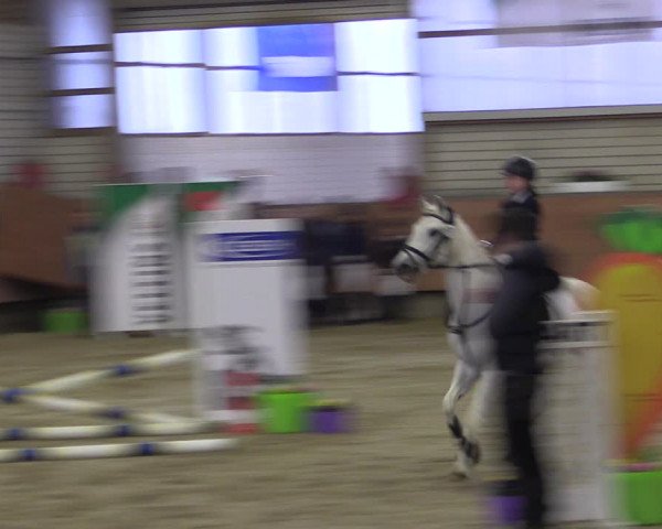 Reitturnier Hellefeld 2019
