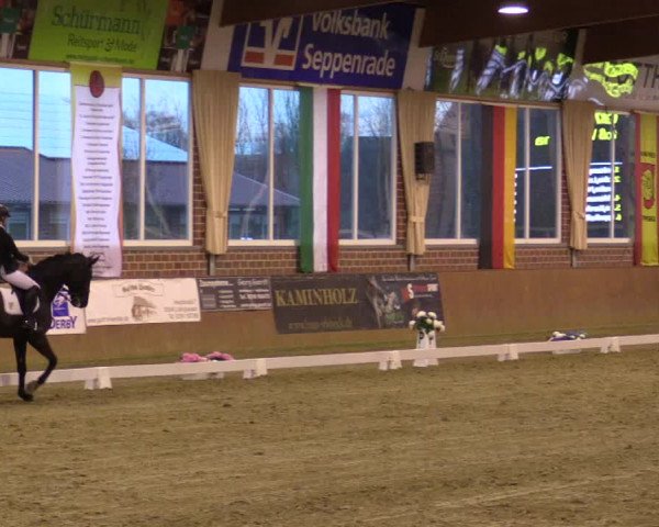 Reitturnier Seppenrade 2019