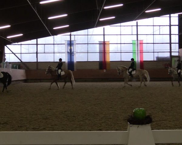 Reitturnier Hellefeld 2019