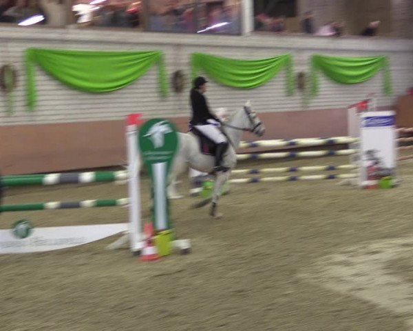 Reitturnier Hellefeld 2019