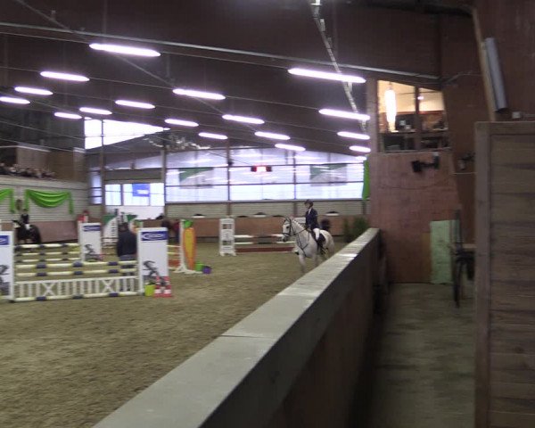 Reitturnier Hellefeld 2019