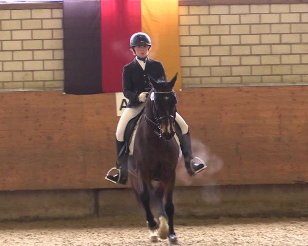 Reitturnier Hellefeld 2019