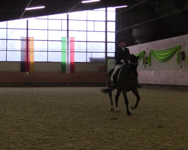Reitturnier Hellefeld 2019