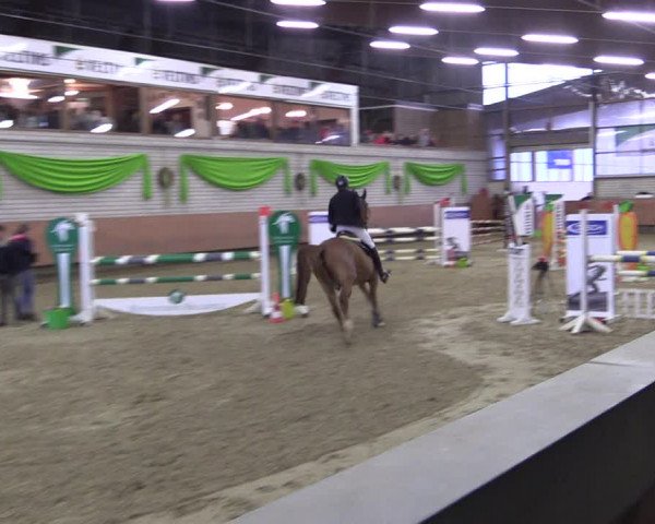 Reitturnier Hellefeld 2019