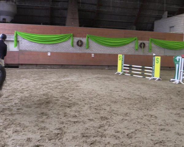 Reitturnier Hellefeld 2019