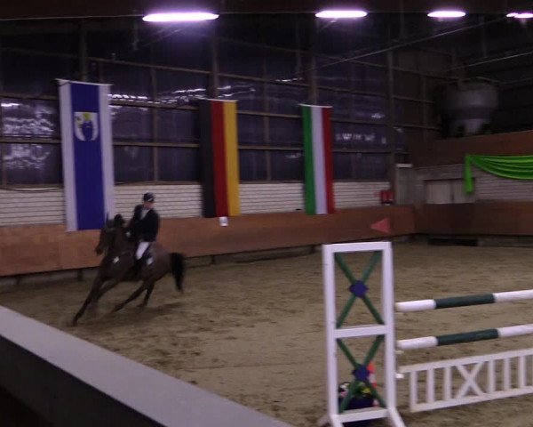 Reitturnier Hellefeld 2019