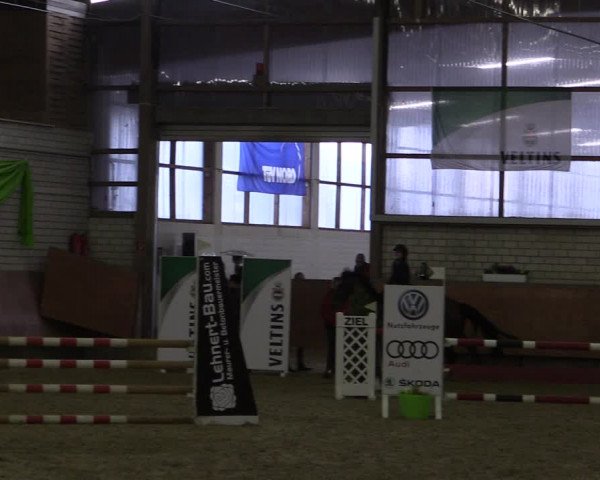 Reitturnier Hellefeld 2019