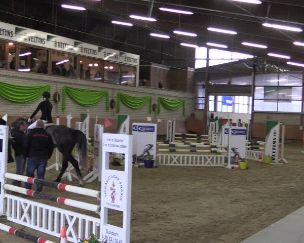 Reitturnier Hellefeld 2019