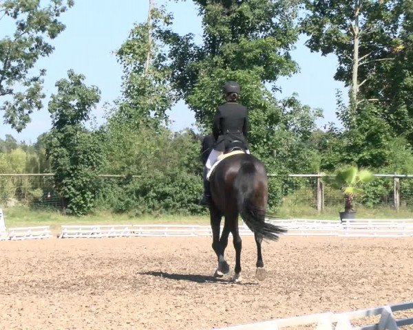 Reitturnier Reilingen 2021