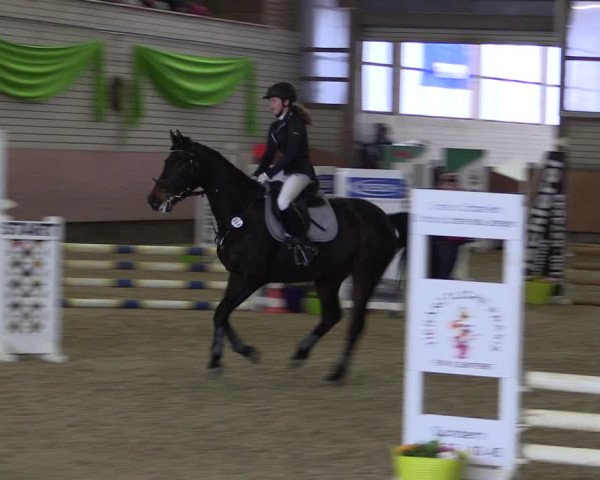 Reitturnier Hellefeld 2019