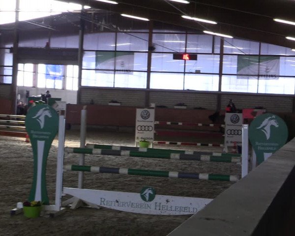 Reitturnier Hellefeld 2019