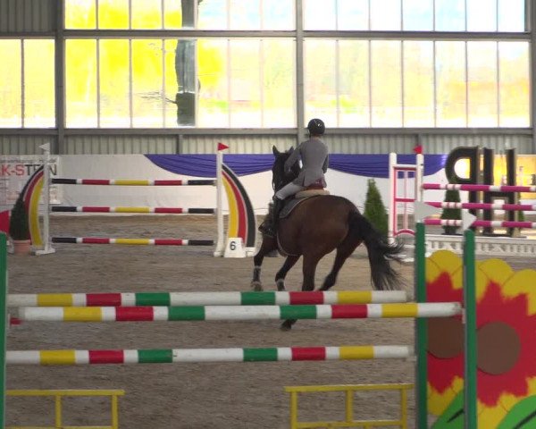 Reitturnier Greven 2019